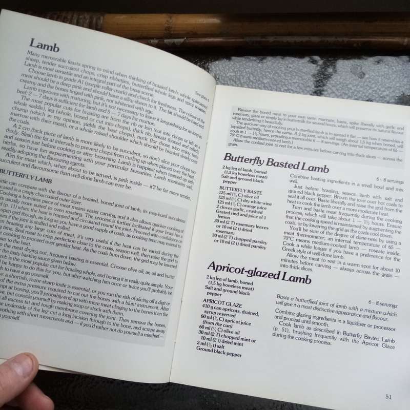 Braai in Style: The Complete South African Outdoor Cookbook by Lannice Snyman