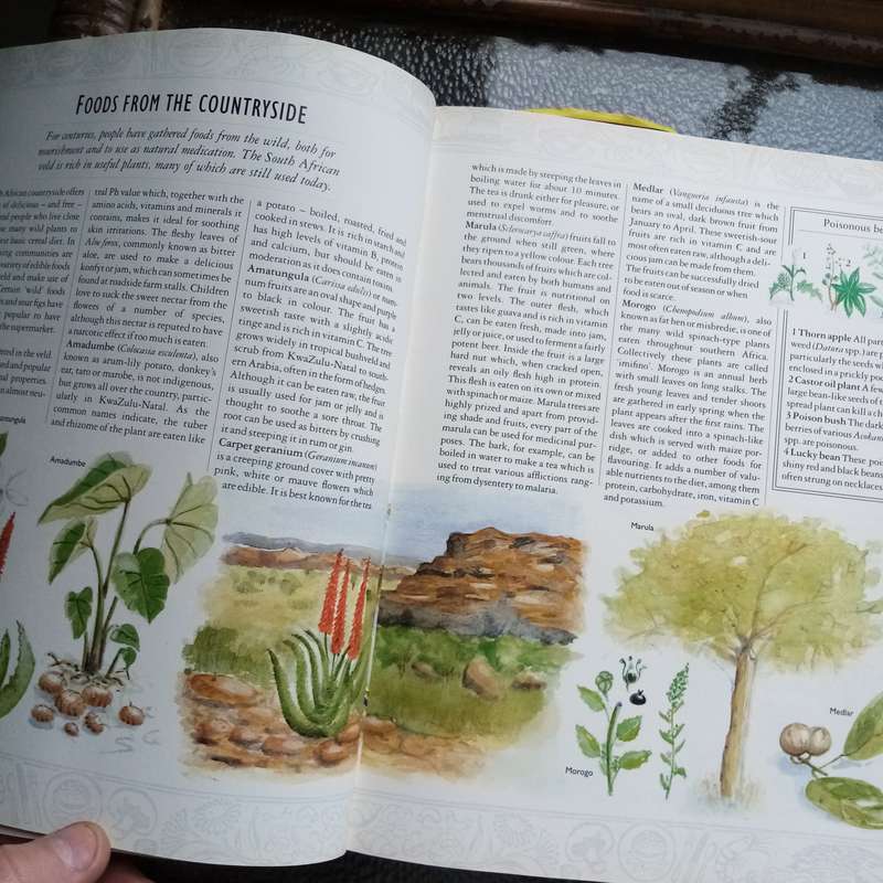 Reader's Digest "Foods That Harm, Foods That Heal" - Essential Guide to Nutrition
