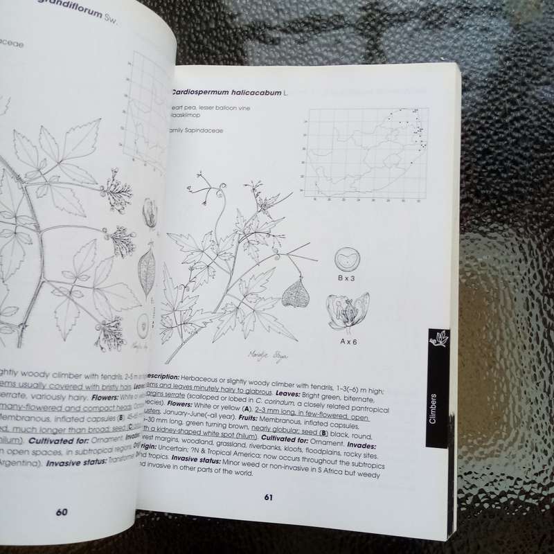 Alien Weeds & Invasive Plants in South Africa by Lesley Henderson  Essential Guide