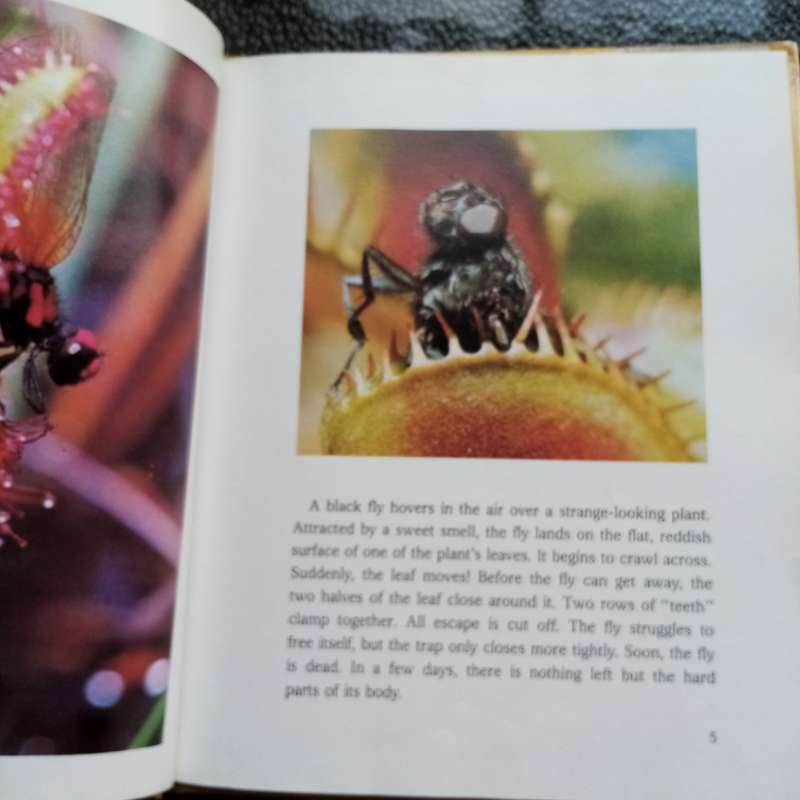 Fascinating Carnivorous Plants by Cynthia Overbeck  Your Ultimate Guide
