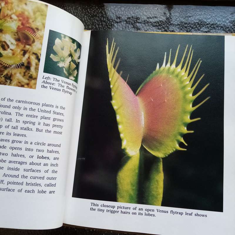 Fascinating Carnivorous Plants by Cynthia Overbeck  Your Ultimate Guide