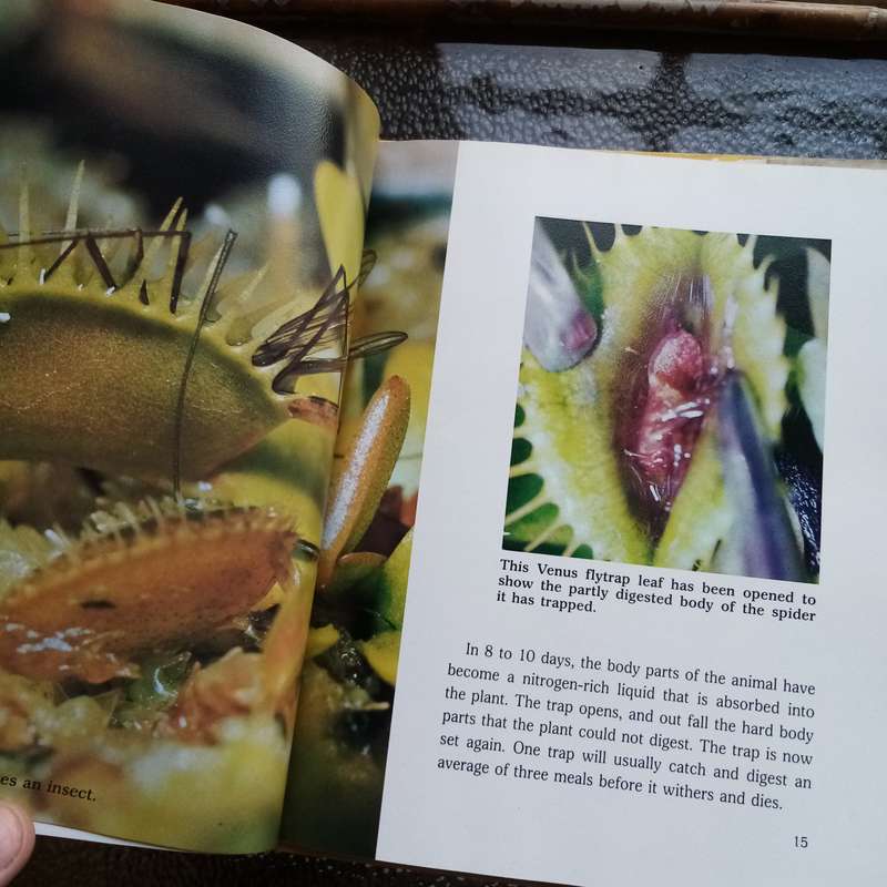 Fascinating Carnivorous Plants by Cynthia Overbeck  Your Ultimate Guide