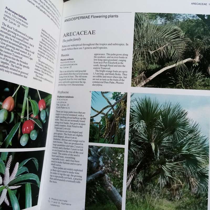 Everyone's Guide to Trees of South Africa by Paul & Meg Coates Palgrave  Your Essential Tree Ref