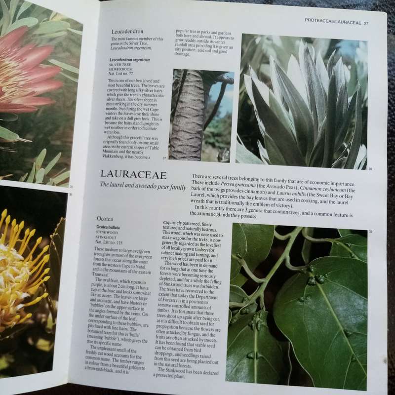 Everyone's Guide to Trees of South Africa by Paul & Meg Coates Palgrave  Your Essential Tree Ref