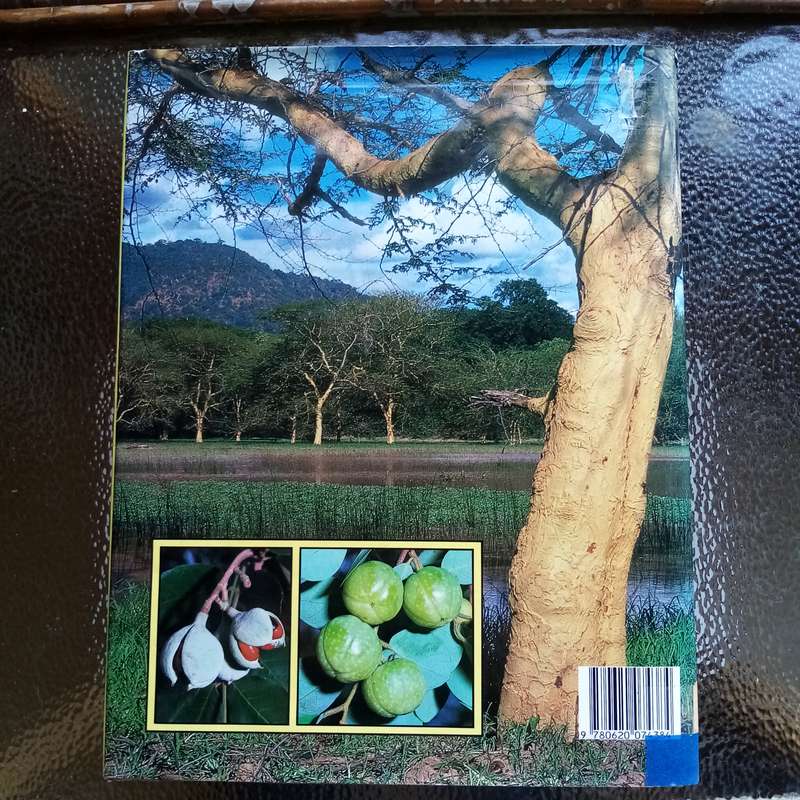 Everyone's Guide to Trees of South Africa by Paul & Meg Coates Palgrave  Your Essential Tree Ref