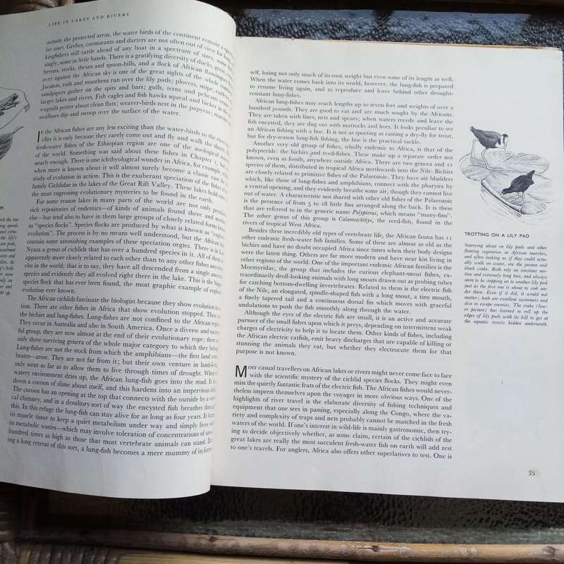 Life Nature Library - The Land and Wildlife of Africa - (Hardcover)