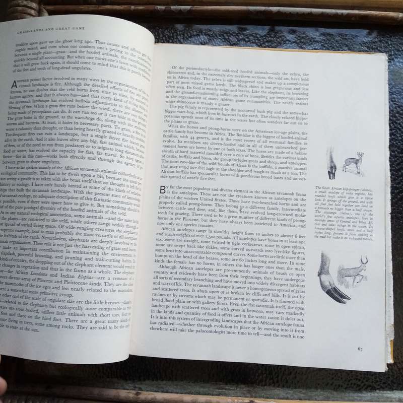 Life Nature Library - The Land and Wildlife of Africa - (Hardcover)