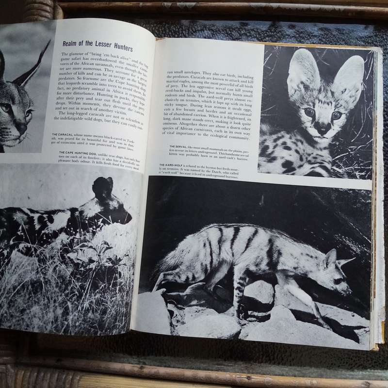 Life Nature Library - The Land and Wildlife of Africa - (Hardcover)