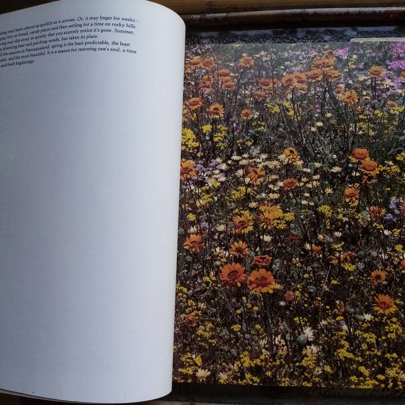 Namaqualand: Garden of the Gods by Freeman Patterson  A Visual Journey