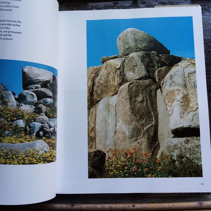 Namaqualand: Garden of the Gods by Freeman Patterson  A Visual Journey