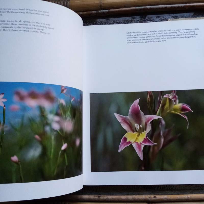 Namaqualand: Garden of the Gods by Freeman Patterson  A Visual Journey