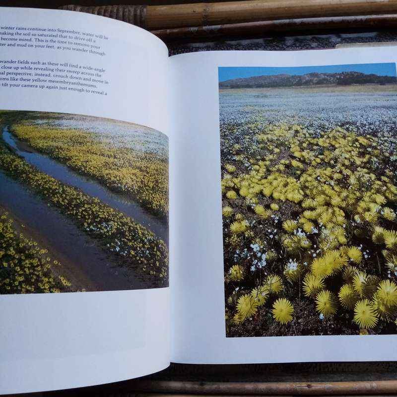 Namaqualand: Garden of the Gods by Freeman Patterson  A Visual Journey