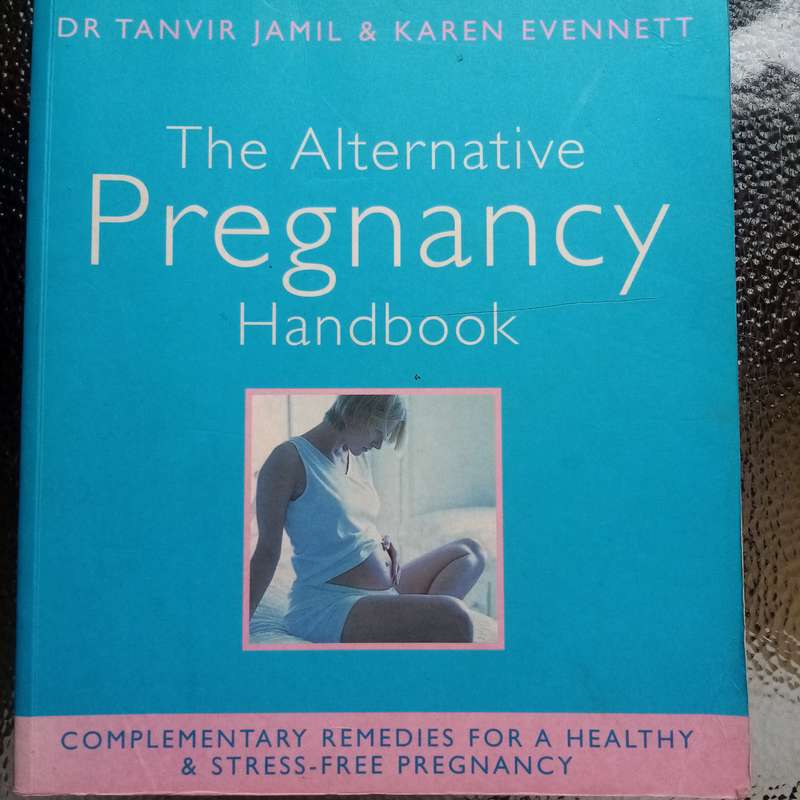 The Alternative Pregnancy Handbook: Complementary Remedies for a Healthy Journey