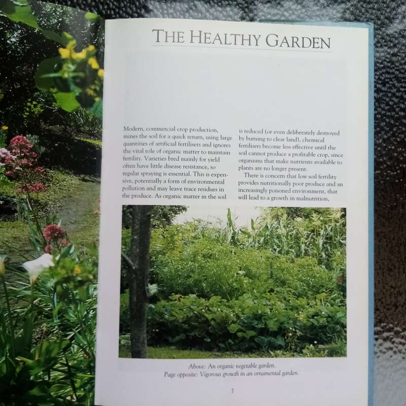 Gardening with the Experts: Organic Techniques for Thriving Gardens