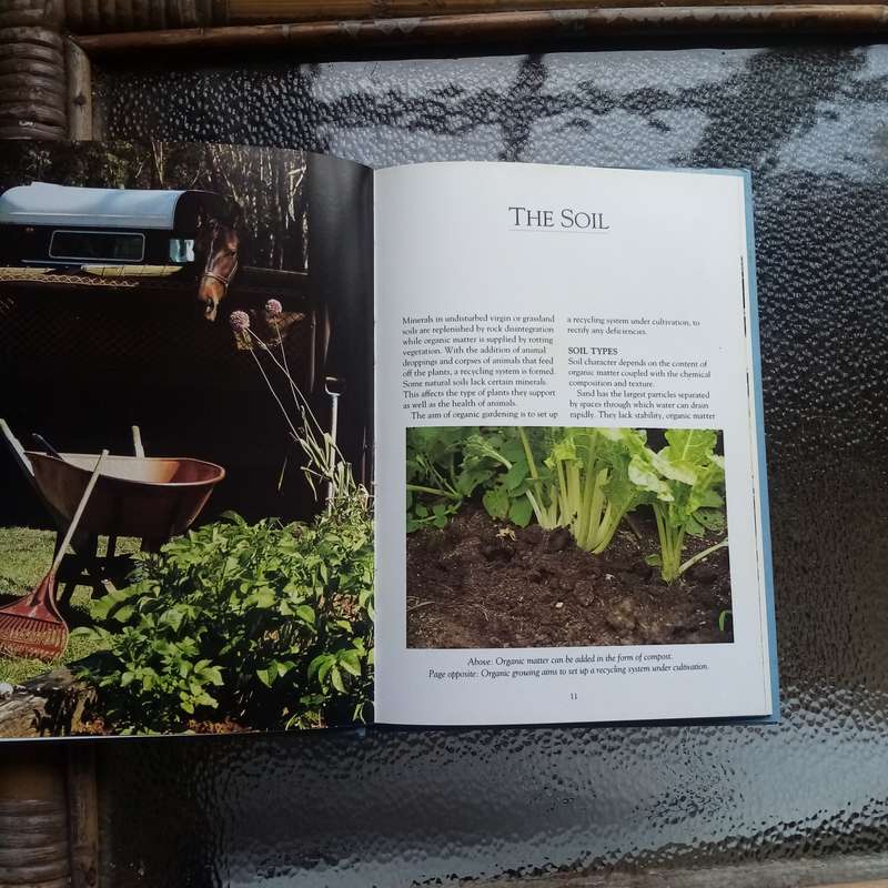 Gardening with the Experts: Organic Techniques for Thriving Gardens