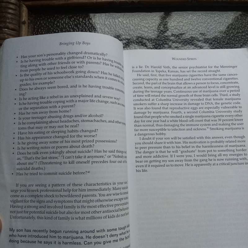 Bringing Up Boys by James C. Dobson - Key Insights for Successful Parenting