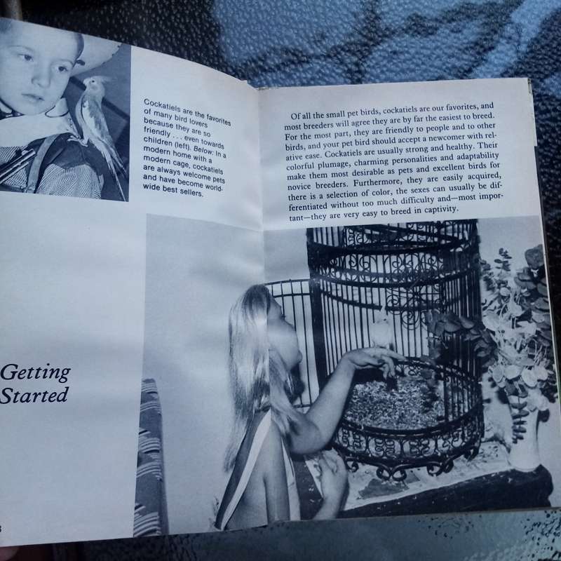 Breeding Cockatiels by Julie Sturman & Dorothy Schults - Comprehensive Care Guide