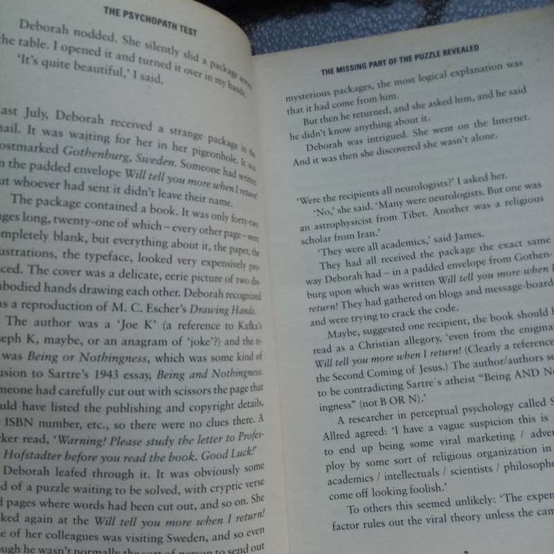 The Psychopath Test: Exploring the Madness Industry by Jon Ronson
