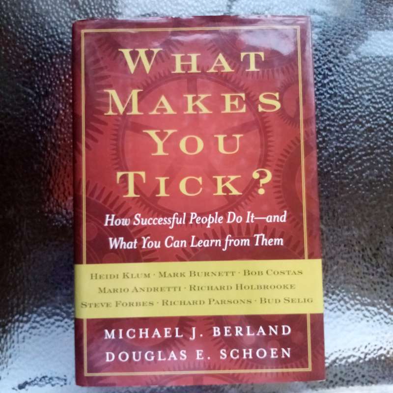 What Makes You Tick? by Michael J. Berland - Lessons from Successful People