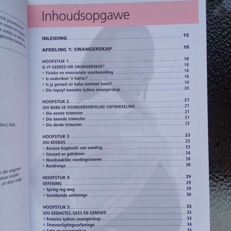 Suster Lilian: Omvattende Swangerskap- en Geboortehandleiding - Jou Betroubare Gids