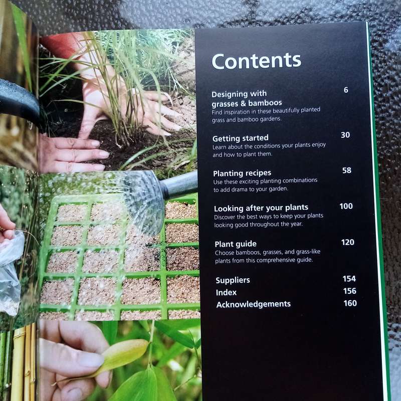 Bamboo and Grasses: A Definitive Guide from the Royal Horticultural Society