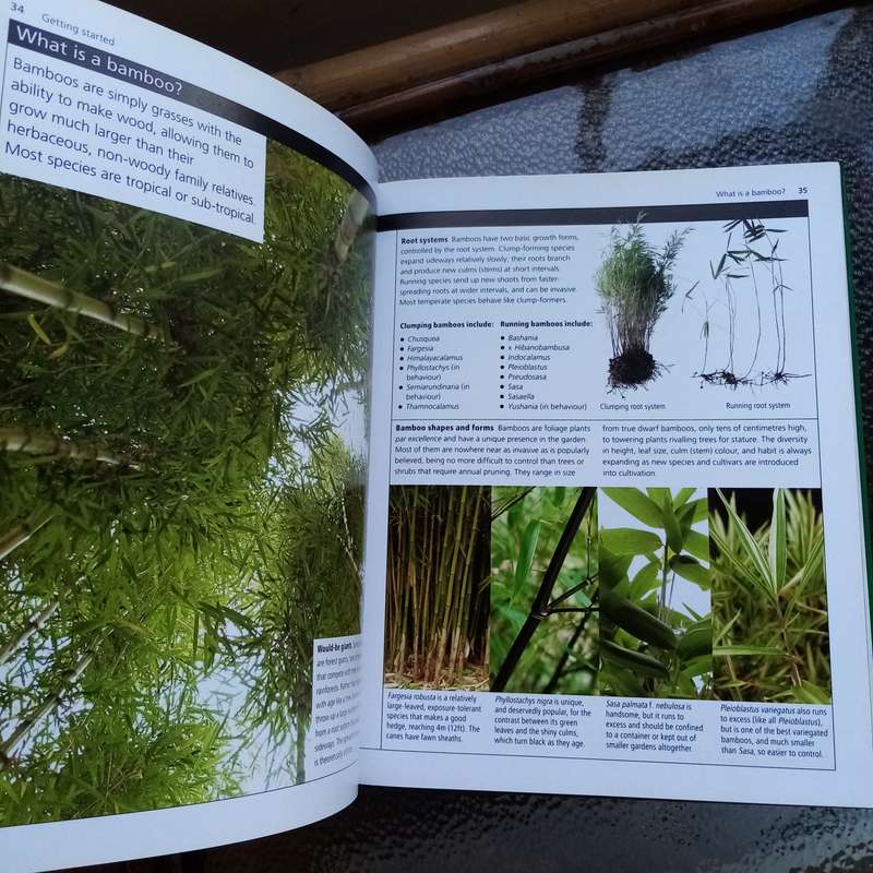 Bamboo and Grasses: A Definitive Guide from the Royal Horticultural Society