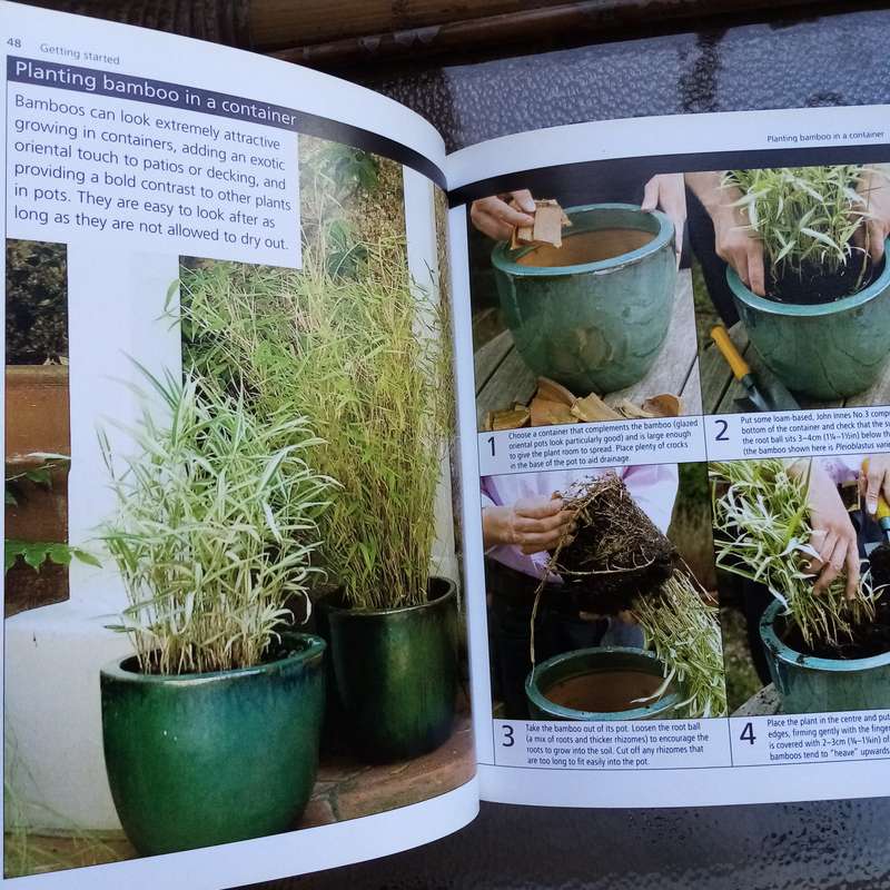 Bamboo and Grasses: A Definitive Guide from the Royal Horticultural Society