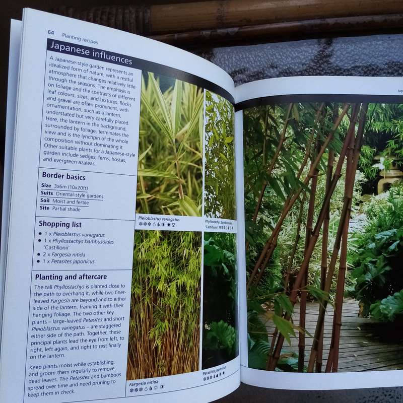 Bamboo and Grasses: A Definitive Guide from the Royal Horticultural Society