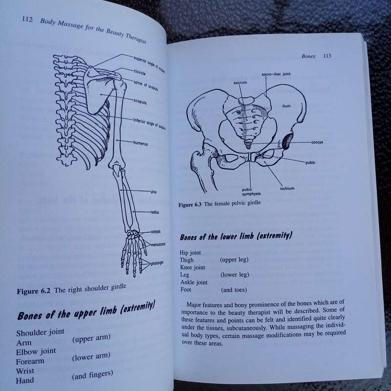 Body Massage for the Beauty Therapist: Essential Techniques by Audrey Goldberg & Lucy McDonald