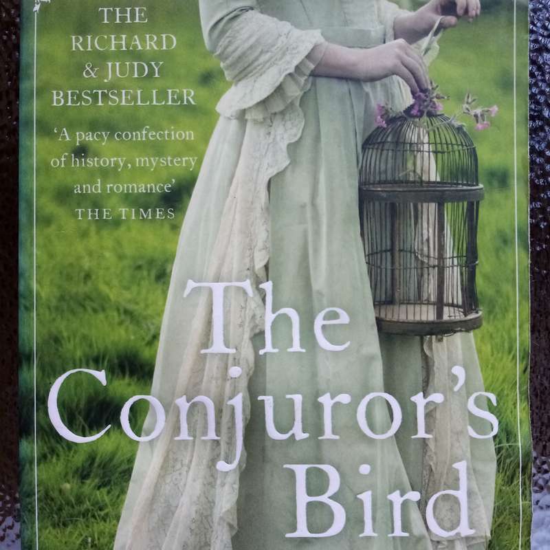 The Conjurer's Bird by Martin Davies - Enigmatic Tale of Love, Loss, and Discovery