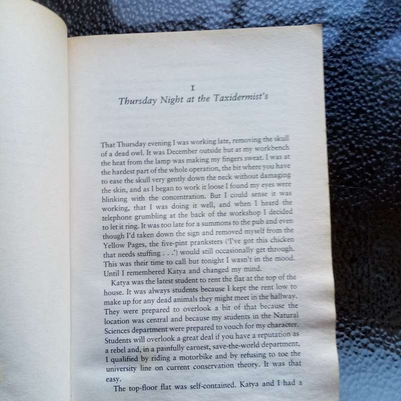 The Conjurer's Bird by Martin Davies - Enigmatic Tale of Love, Loss, and Discovery