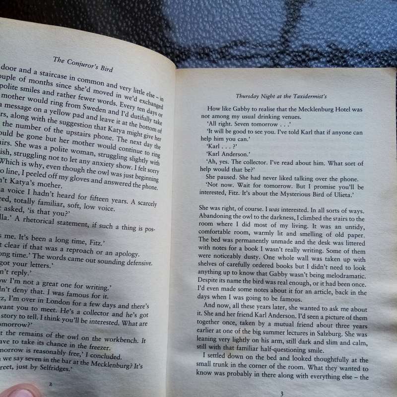 The Conjurer's Bird by Martin Davies - Enigmatic Tale of Love, Loss, and Discovery