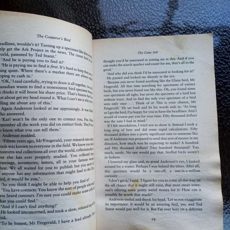 The Conjurer's Bird by Martin Davies - Enigmatic Tale of Love, Loss, and Discovery