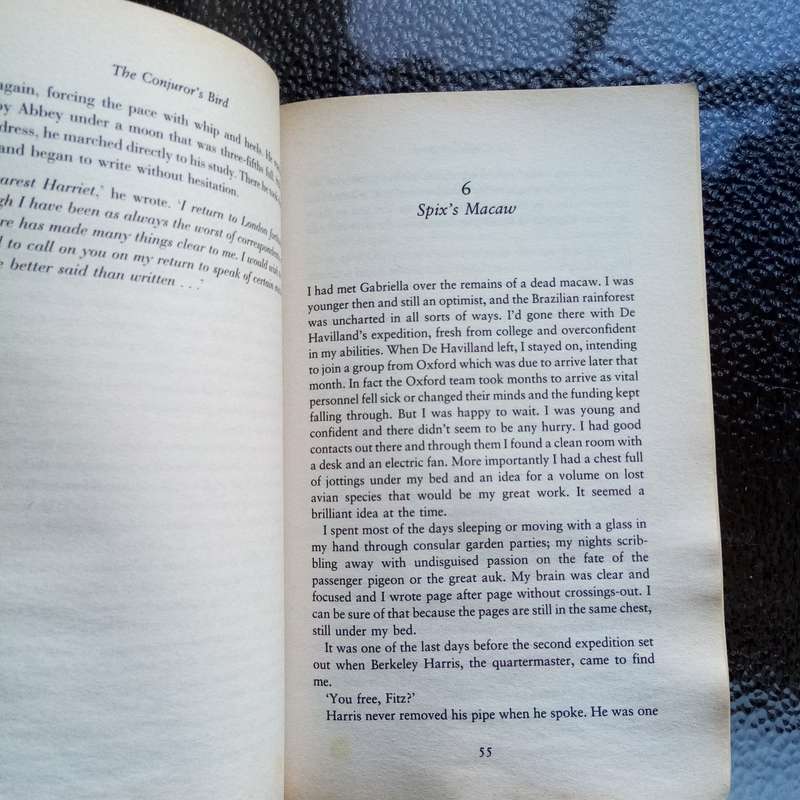 The Conjurer's Bird by Martin Davies - Enigmatic Tale of Love, Loss, and Discovery