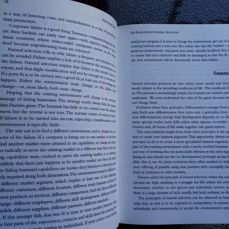 The Power Laws: Unlocking the Science of Success by Richard Koch