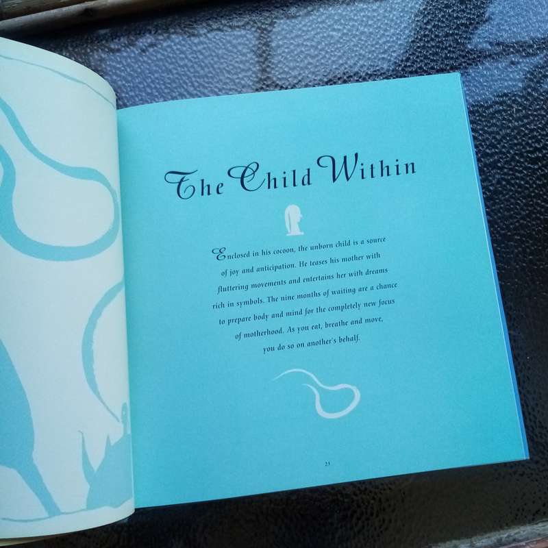 Embrace Motherhood: "Wild Child" by Deborah Jackson  Wisdom for Pregnancy and Birth (B)