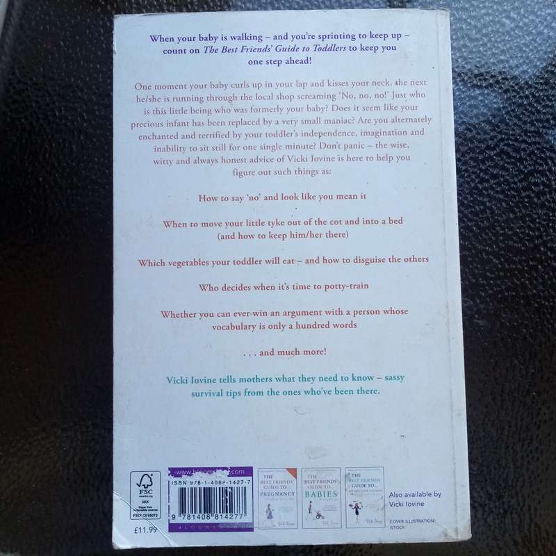 Essential Guide: "The Best Friends' Guide to Toddlers" by Vicki Iovine  Surviving the Terrible Twos