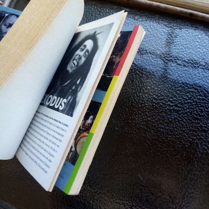 Bob Marley Uncovered: "The Untold Story" by Chris Salewicz  A Deep Dive into a Legend biography (B)