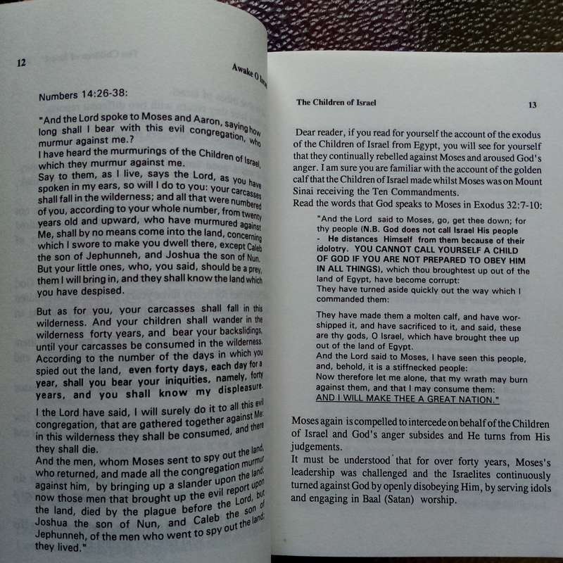 Awake O Israel: A Call to Spiritual Renewal by David Nathan