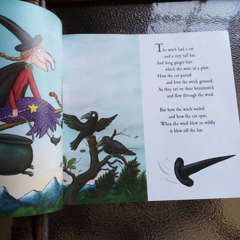 Room on the Broom: A Magical Adventure for Children by Julia Donaldson