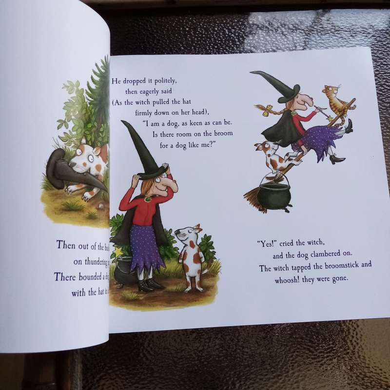 Room on the Broom: A Magical Adventure for Children by Julia Donaldson