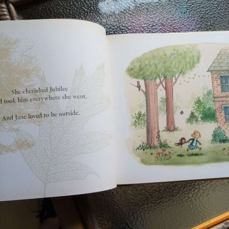 Me... Jane: Children's picture book by Patrick McDonnell