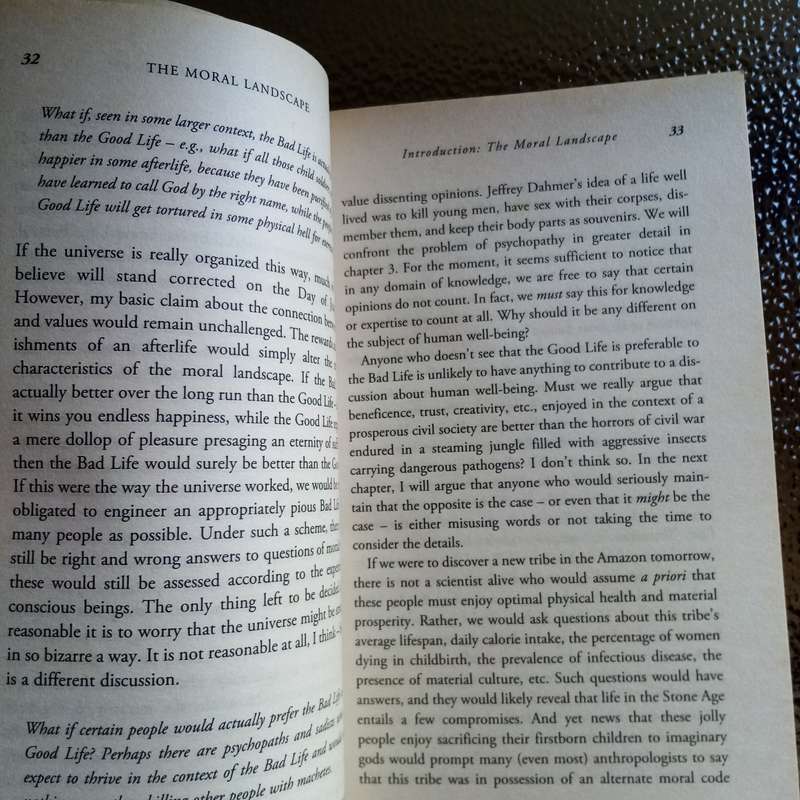 Discover Ethics Redefined: "The Moral Landscape" by Sam Harris