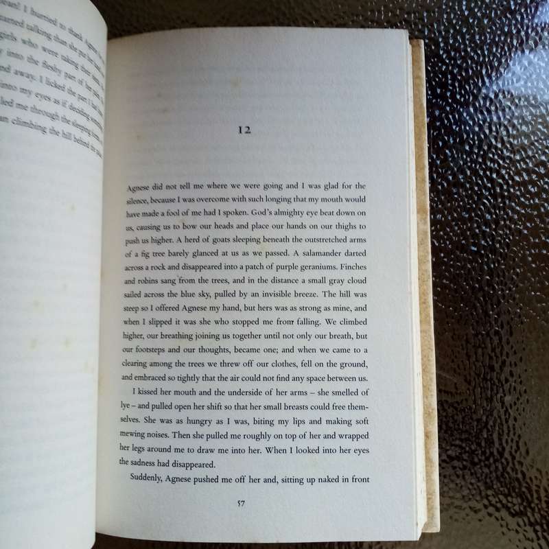 The Food Taster by Peter Elbling - A Culinary Mystery of Intrigue and Betrayal