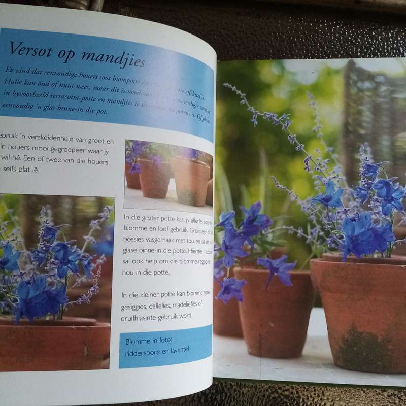 Eenvoudige Elegante Blomme deur Avril O'Donnell - Inspirerende Bloemskik Kuns