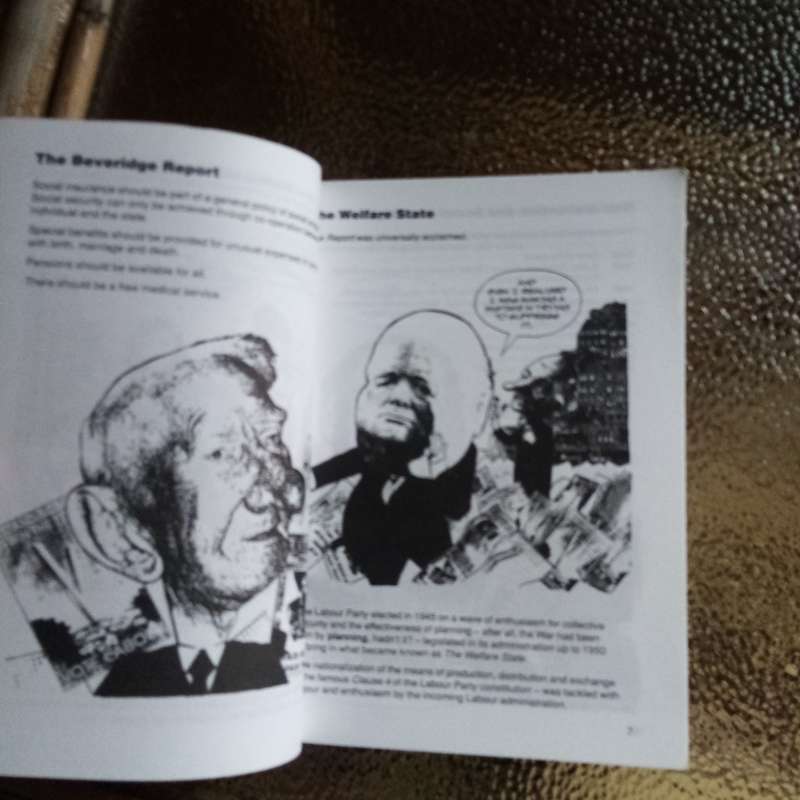 Introducing Thatcherism: A Graphic Guide by Peter Pugh - Understand Margaret Thatcher