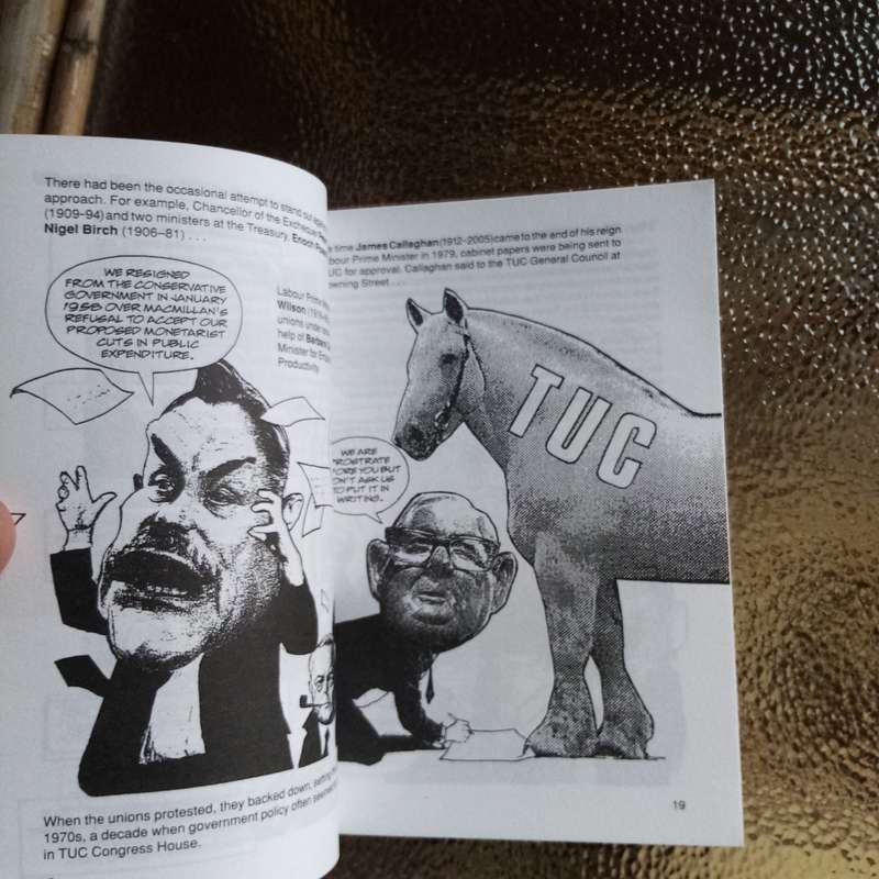 Introducing Thatcherism: A Graphic Guide by Peter Pugh - Understand Margaret Thatcher