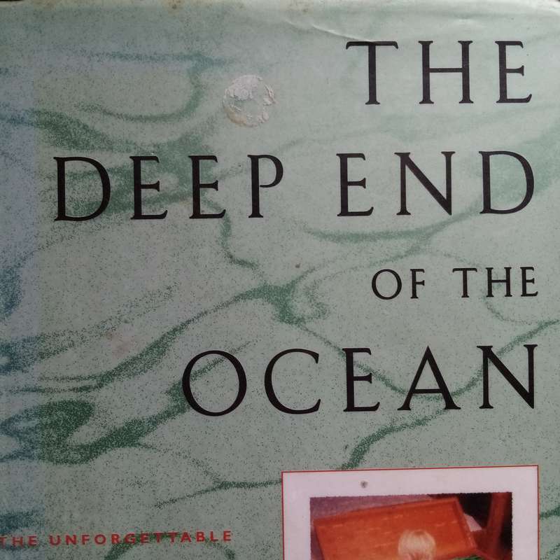 The Deep End of the Ocean - Jacquelyn Mitchard