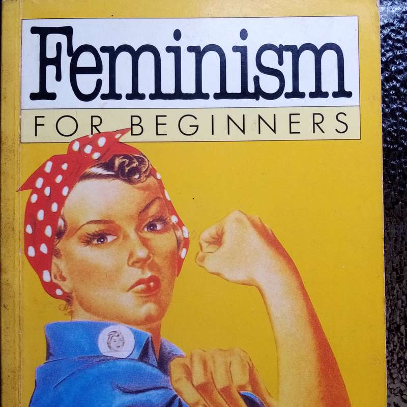 Feminism for Beginners by Susan Alice Watkins  Your Introductory Guide to Feminist Ideas