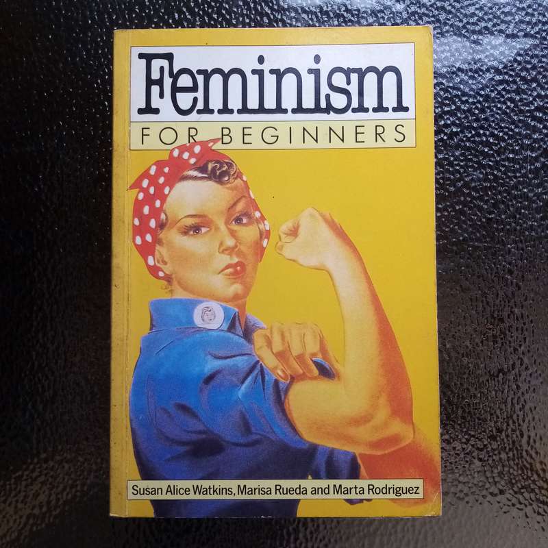 Feminism for Beginners by Susan Alice Watkins  Your Introductory Guide to Feminist Ideas